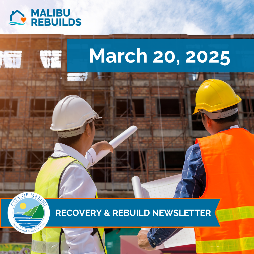 March 20 Newsletter